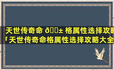 天世传奇命 🐱 格属性选择攻略「天世传奇命格属性选择攻略大全」